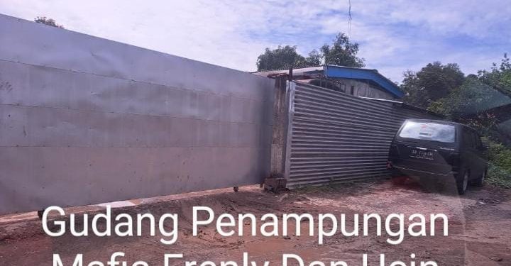Taring Polda Sulut Lemah,Diduga Takut Tangkap Trio Mafia BBM Frenly,Ucin Dan Marco