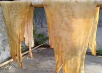 Diduga Pengusaha Krupuk Rambak di Mojokerto Tidak Miliki Izin Pemanfaatan Limbah B3