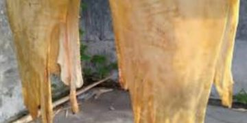 Diduga Pengusaha Krupuk Rambak di Mojokerto Tidak Miliki Izin Pemanfaatan Limbah B3