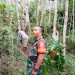 Babinsa Koramil 420-06/Muara Siau Lakukan Monitoring Hutan Desa Air Lago untuk Keberlangsungan Ekosistem