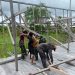 Satgas Yonif 141/AYJP Pos Fayit Membantu Bangun Gereja
