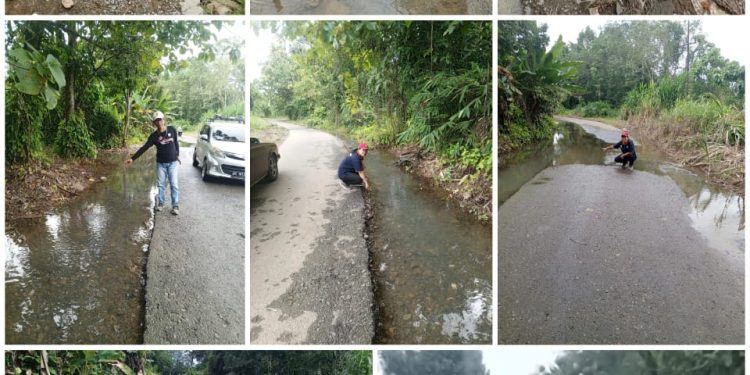 Jalan Penghubung Antar Kec Pseksu Dan Kimsel Terancam Putus Eksekutif Dan Legislatif Kab Lahat Diduga Buta Tuli