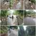 Jalan Penghubung Antar Kec Pseksu Dan Kimsel Terancam Putus Eksekutif Dan Legislatif Kab Lahat Diduga Buta Tuli