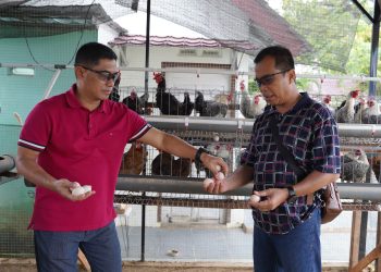 Kapuspen TNI Tinjau Urban Farming Taman Aspirasi Kodam II/Swj