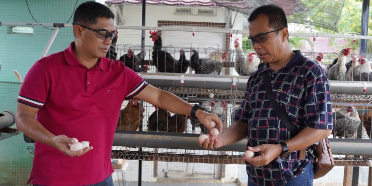Kapuspen TNI Tinjau Urban Farming Taman Aspirasi Kodam II/Swj