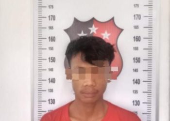 Curi HP di Rumah Korban Mukminin, Pelaku YI Ditangkap Polsek Tanjung Lgo