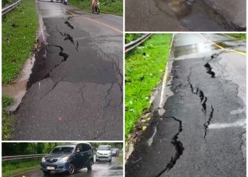 Akses Jalan Lahat- Pagar Alam Didesa Jati Kec. Pulau Pinang Terancam Putus