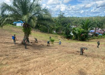 Komitmen mendukung Ketahanan Pangan Masyarakat, Satgas 141/AYJP Pos Venaha Buka Lahan