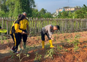 Kebun Ketahanan Pangan Satker Bidkum Polda Sumsel di Panen, Seluruh Hasil Dibagikan ke Masyarakat Sekitar
