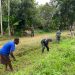 Satgas Pamtas Yonif 144/JY sebagai Pelopor Karya Bhakti Bersihkan jalan perlintasan kampung Assikie