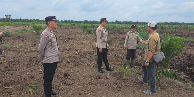 Kanit Binmas Polsek Talang Kelapa Tinjau Lahan Yang Akan Ditanami Jagung di Desa Kenten Laut