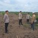 Kanit Binmas Polsek Talang Kelapa Tinjau Lahan Yang Akan Ditanami Jagung di Desa Kenten Laut