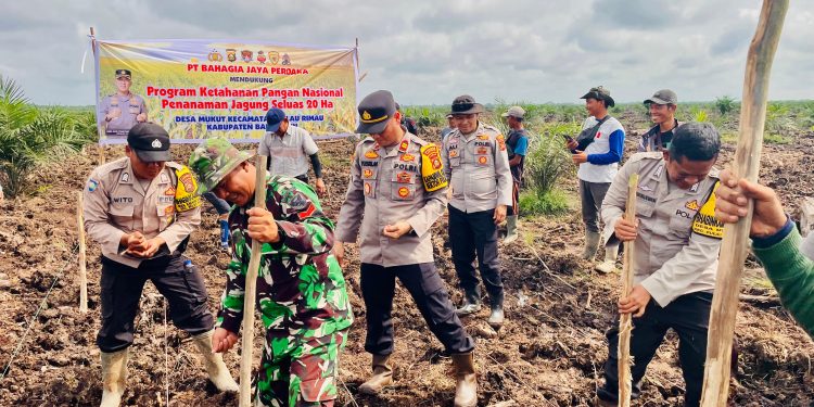 Kapolsek Pulau Rimau Hadiri Penanaman Jagung 1 Juta Hektare di Desa Mukut