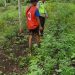 Bhabinkamtibmas Polsek Tanjung Lago Cek Tanaman Cabai dan Sayur Bayam Milik Warga di Desa Sebalik