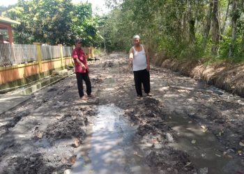 Rusak Parah akses jalan Warga Dusun II Desa Sukamenang Gelumbang Muara Enim Terisolir