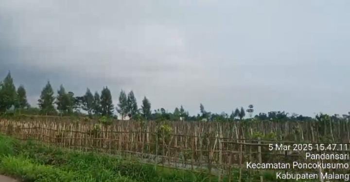 Pemdes Pandansari diduga Manipulasi harga sewa TKD jauh dari Nilai wajar Inspektorat dan Kejaksaan wajib tahu