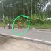 Diduga Dikerjakan Asal Jadi, Kualitas Tambal Lobang Jalan Negara Diragukan
