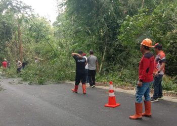 Polri untuk Masyarakat: Polsek Remboken Bersama Instansi Terkait Laksanakan Penebangan Pohon Demi Keamanan Pengguna Jalan
