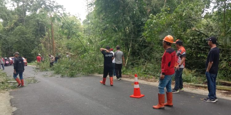 Polri untuk Masyarakat: Polsek Remboken Bersama Instansi Terkait Laksanakan Penebangan Pohon Demi Keamanan Pengguna Jalan