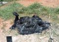 Heboh Warga Talang Taling Gelumbang Temukan Mayat Dengan Kondisi Terbakar