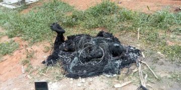 Heboh Warga Talang Taling Gelumbang Temukan Mayat Dengan Kondisi Terbakar