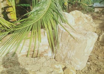 Batu Sungkai aset Merangin, di kenal UGG ( Uninesco Global Geopark ) gagal mendatang deviden untuk Merangin, Jambi.