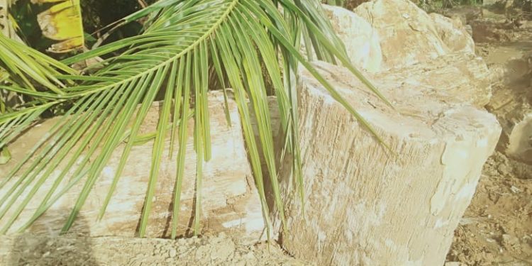 Batu Sungkai aset Merangin, di kenal UGG ( Uninesco Global Geopark ) gagal mendatang deviden untuk Merangin, Jambi.