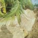 Batu Sungkai aset Merangin, di kenal UGG ( Uninesco Global Geopark ) gagal mendatang deviden untuk Merangin, Jambi.