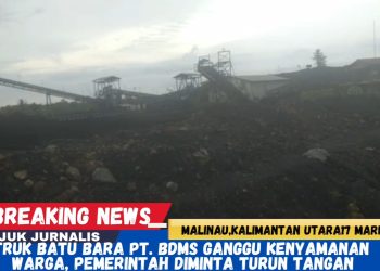 Truk Batu Bara PT. BDMS Ganggu Kenyamanan Warga, Pemerintah Diminta Turun Tangan