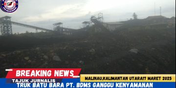 Truk Batu Bara PT. BDMS Ganggu Kenyamanan Warga, Pemerintah Diminta Turun Tangan