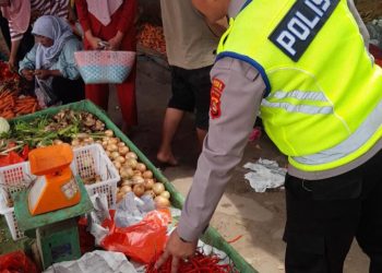Polsek Pedamaran Atur Lalu Lintas di H-1 Idul Fitri, Masyarakat Diimbau Tertib Berkendara