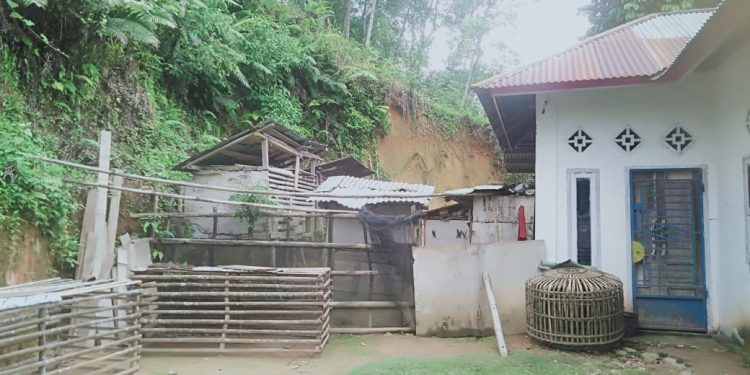 Judi ” Sabung Ayam ” marak di Merangin-Jambi.