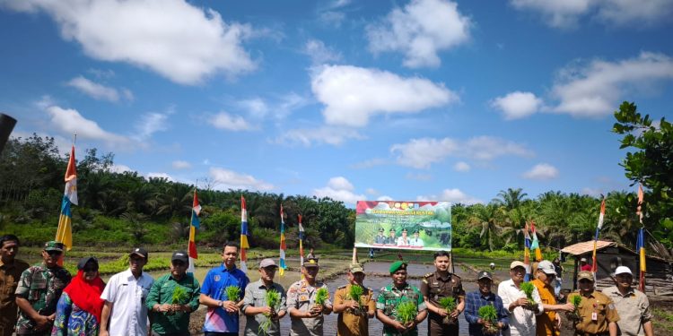 Dandim 0420/Sarko Hadiri Zoom Meeting Dengan Gubernur Jambi dan Danrem 042/Gapu, Dilanjutkan Ikuti Penanaman Padi Serentak