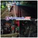 Benturan Maut di Jalan Raya Camplong, Dua Nyawa Melayang