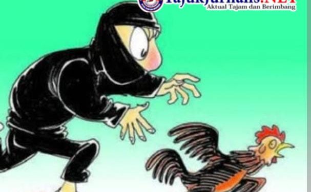 Polres Minahasa Tetap Proses Lanjut Kasus Pencurian Di Kawangkoan