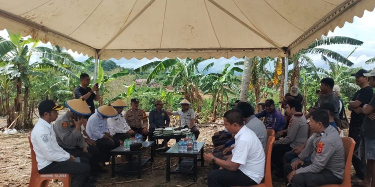 Panen Raya Jagung Serentak, Polsek Tempe Tunjukkan Dukungan pada Program Ketahanan Pangan