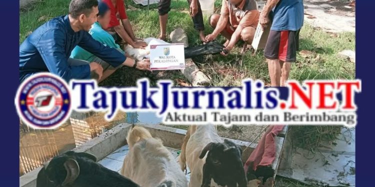 Lapas Pekalongan Terima dan Sembelih 4 Ekor Kambing Kurban