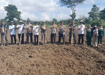 Polsek Tempe Turut Sukseskan Program Pangan Nasional Lewat Penanaman Jagung