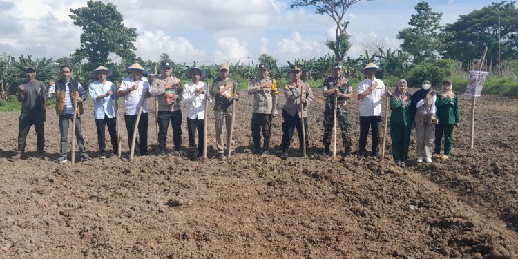 Polsek Tempe Turut Sukseskan Program Pangan Nasional Lewat Penanaman Jagung