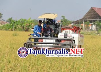 Panen Raya di Balik Jeruji: SAE Lapas Lamongan Buktikan Pembinaan Berdaya Guna