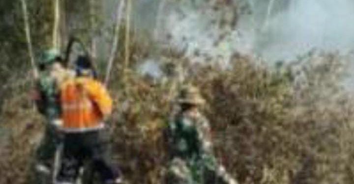 Lahan Terbakar Hebat di Dua Desa Kecamatan Sungai Rotan Muara Enim Belum Diketahui Penyebabnya