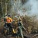 Lahan Terbakar Hebat di Dua Desa Kecamatan Sungai Rotan Muara Enim Belum Diketahui Penyebabnya