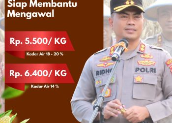 Gerakkan Petani Tanam Jagung, Polda Sulsel Sosialisasikan Harga Beli Pemerintah di Media Sosial