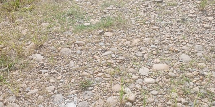 Pembangunan Jalan Cor Beton Lingkar Desa Ulak Lebar Lahat APBD TA 2025 Diduga Asal Jadi Terindikasi Ladang Korupsi Kontraktor