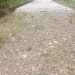 Pembangunan Jalan Cor Beton Lingkar Desa Ulak Lebar Lahat APBD TA 2025 Diduga Asal Jadi Terindikasi Ladang Korupsi Kontraktor