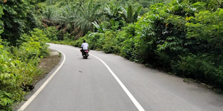 Masyarakat Lokop keluhkan Kondisi Jalan Peureulak.Lakop Baru 3 Tahun Siap di Bangun Kembali Rusak Parah Dan Semak Belukar.
