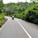 Masyarakat Lokop keluhkan Kondisi Jalan Peureulak.Lakop Baru 3 Tahun Siap di Bangun Kembali Rusak Parah Dan Semak Belukar.