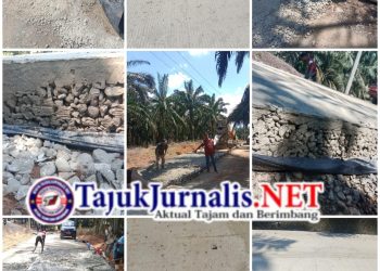 Darma Rahardja Kec Kikim Barat Lahat APBD TA 2025 Diduga Ladang Korupsi Kontraktor