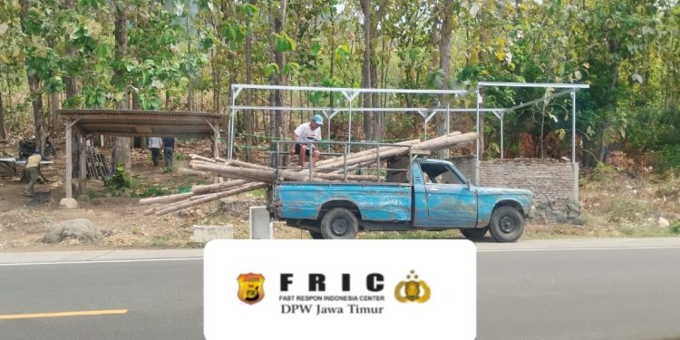 Diduga Angkut Kayu Jati Ilegal, Warga Bungatan Situbondo HT Sempat Diamankan Polres Situbondo, Namun Kini Bebas Berkeliaran
