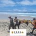 Tragedi Pantai Modangan Malang: Satu Warga Surabaya Meninggal, Dua Masih Hilang Terseret Ombak